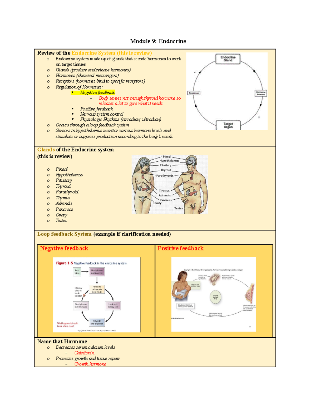 Module 9 - notes - Module 9: Endocrine Review of the Endocrine System ...