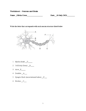 Lab Report Identification of Unknown Bacteria Updated - NAME: Cole ...
