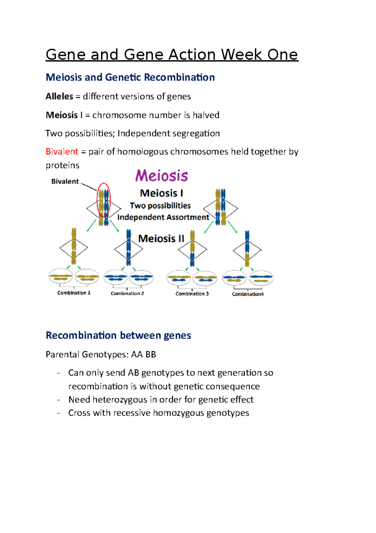 Week One - Week one - Gene and Gene Action Week One Meiosis and Genetic ...