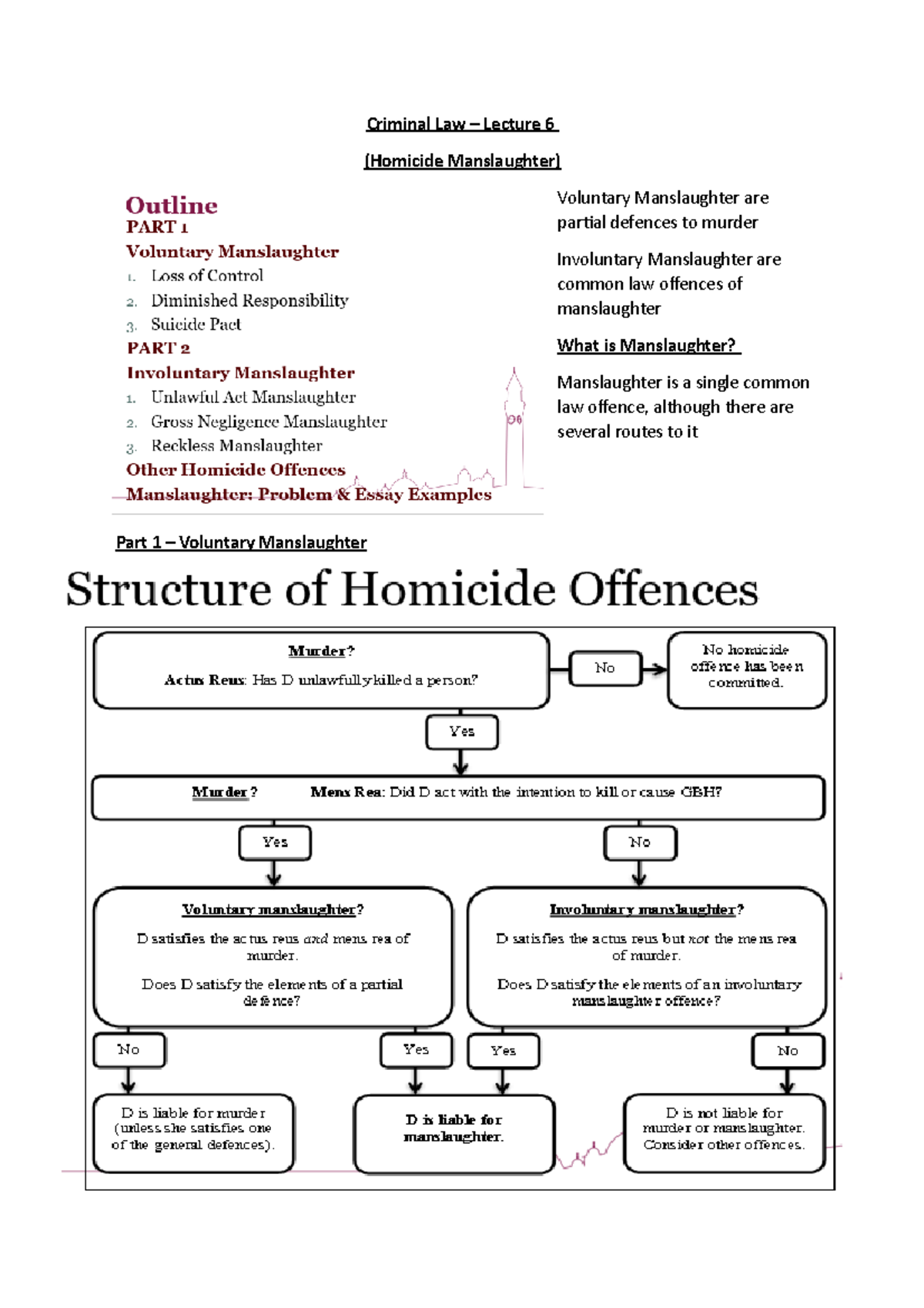 Criminal Law - Lecture 6 (homocide Manslaughter) - Criminal Law ...