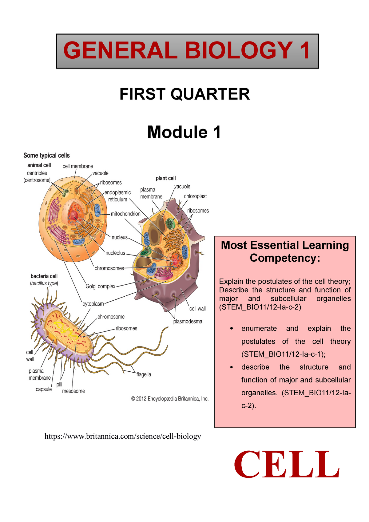 Week 1-CELL - Lecture Notes 1 - FIRST QUARTER Module 1 Britannica ...