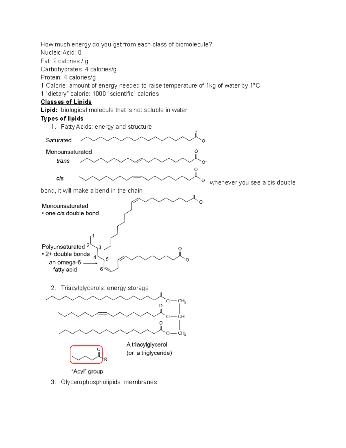 Topic 6 lipids and biological membranes How much energy do you get from each class of