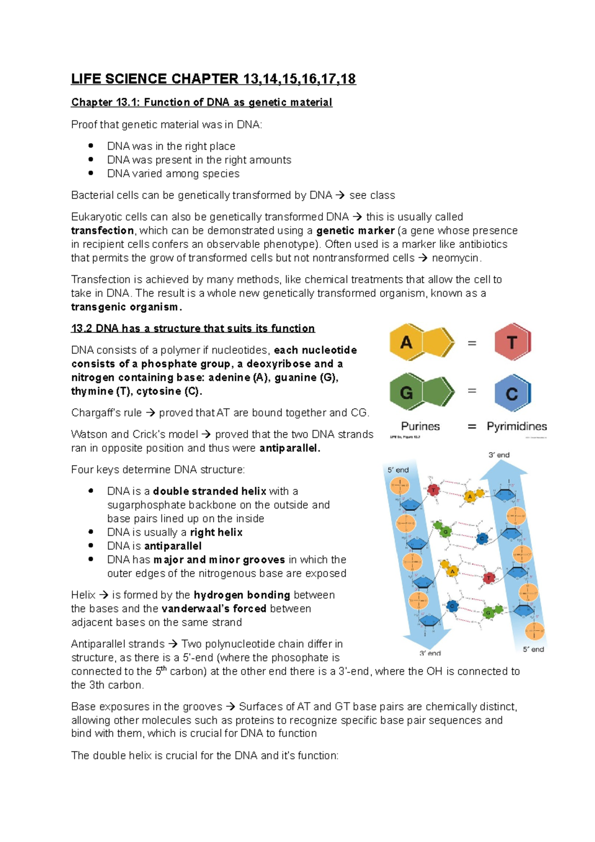 LIFE Science Chapter 13,14,15,16,17,18 LIFE SCIENCE CHAPTER 13,14,15