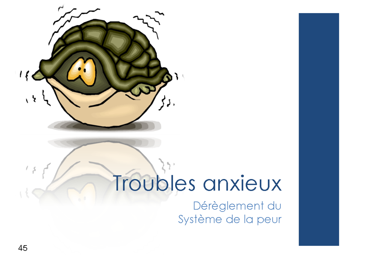 3-Les Troubles Anxieux - Troubles Anxieux Dérèglement Du Système De La ...