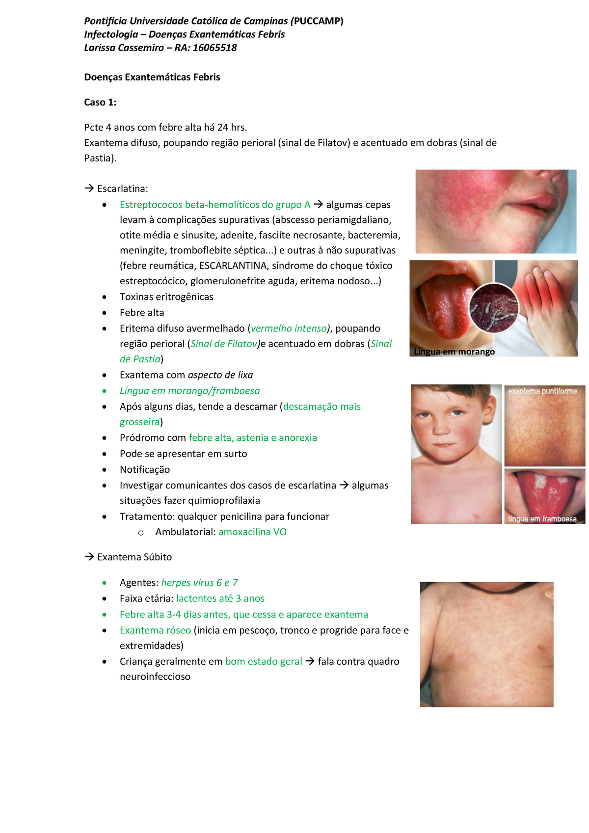Doenças Exantemáticas Febris Anotações Aula Pdf Pontifícia Universidade Católica De Campinas 6049