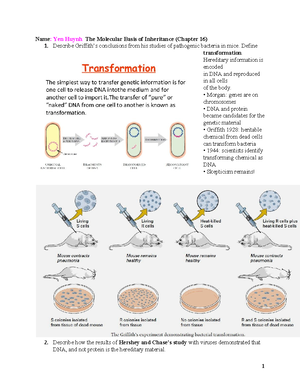 Review Guide For BIOL 150 Lab Exam 1 Montgomery College; Rockville ...