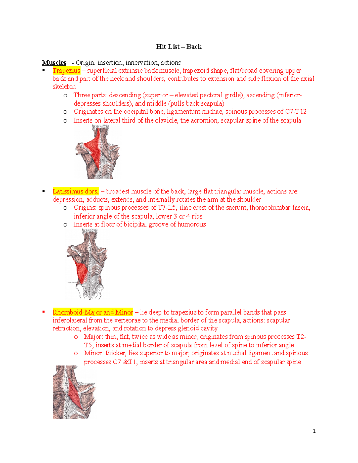Back Anatomy Hit List Back Muscles Origin, insertion, innervation, actions Trapezius