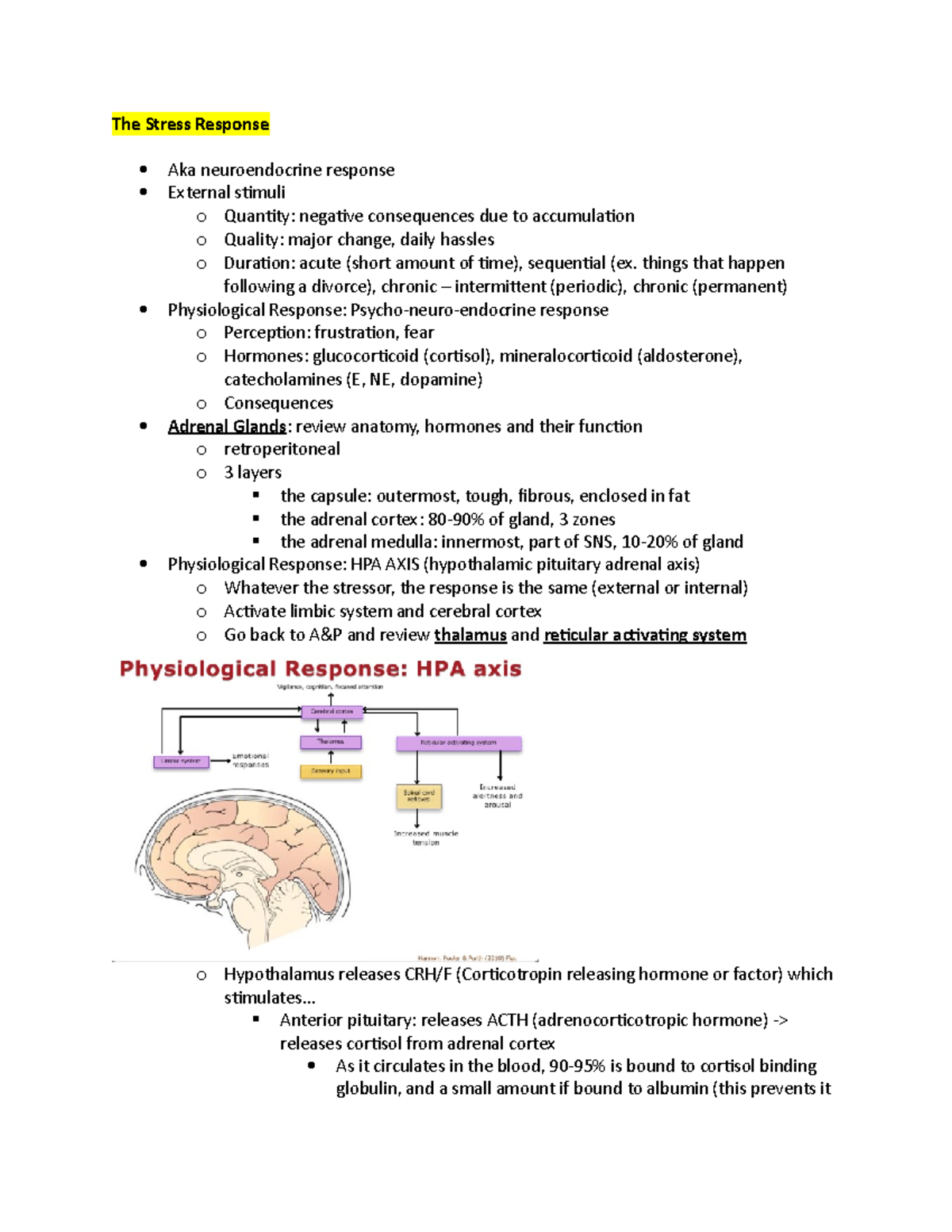 Pathophysiology Module Notes - The Stress Response Aka neuroendocrine ...