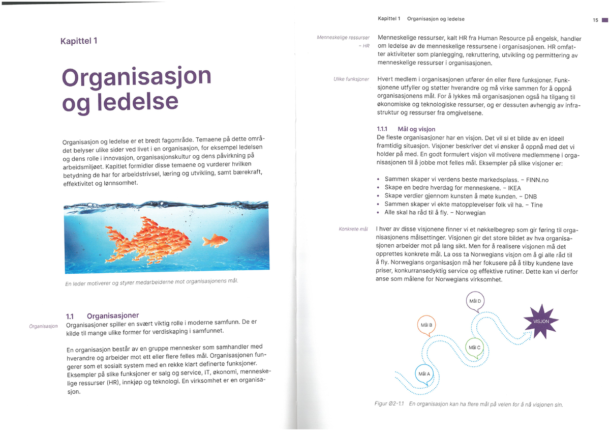 Kapittel 1 Organisasjon Og Ledelse - Studocu