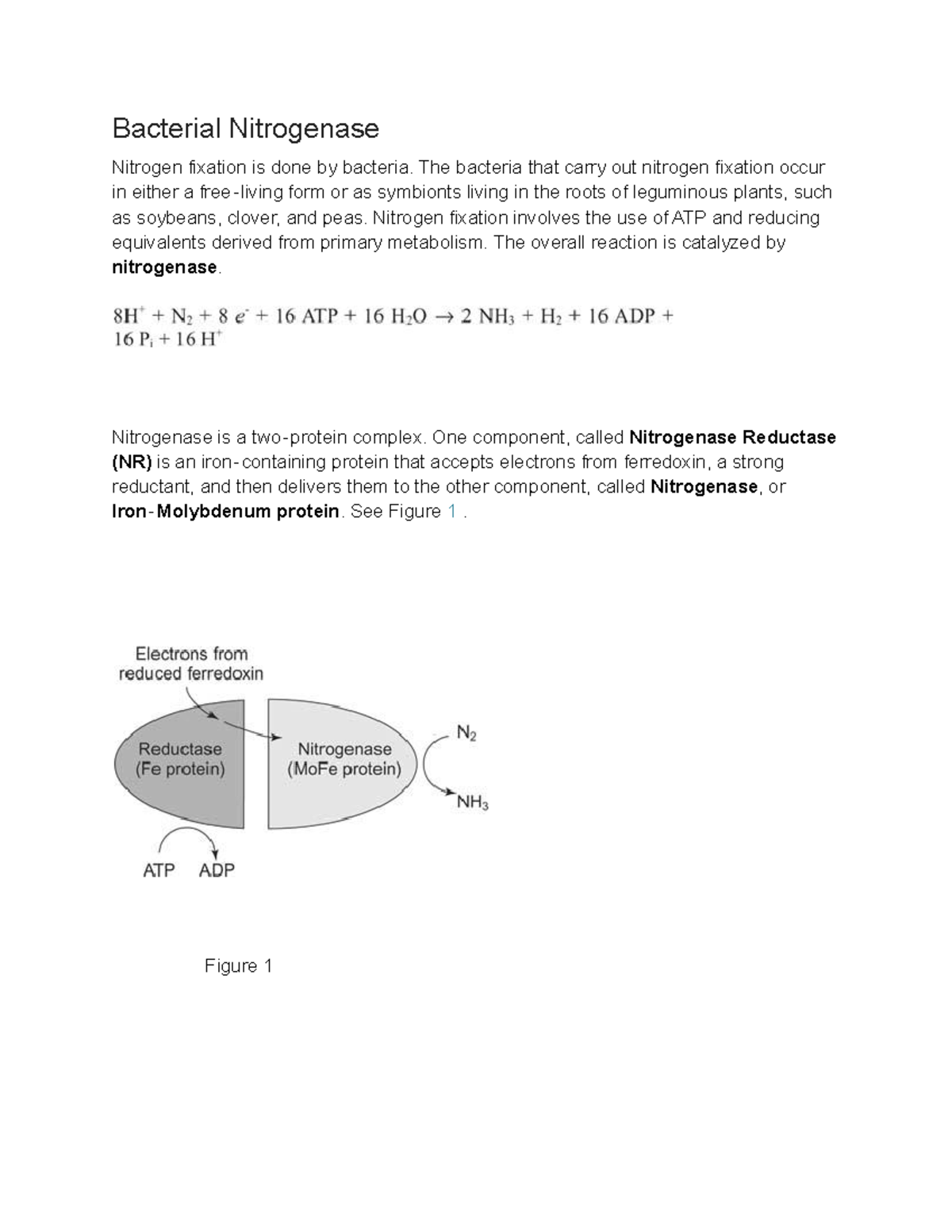 bacterial-nitrogenase-bacterial-nitrogenase-nitrogen-fixation-is-done