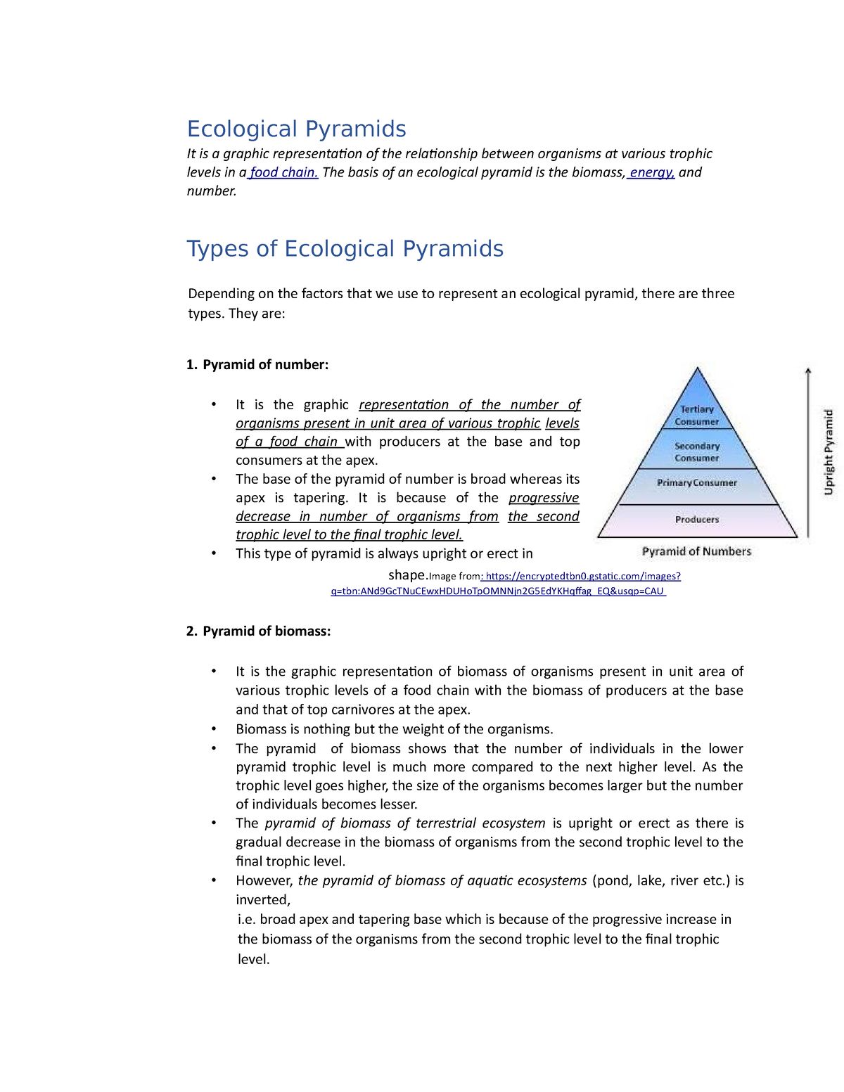 Environmental Science Module 2 6 Ecological Pyramids It Is A