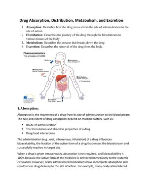drug absorption in the body