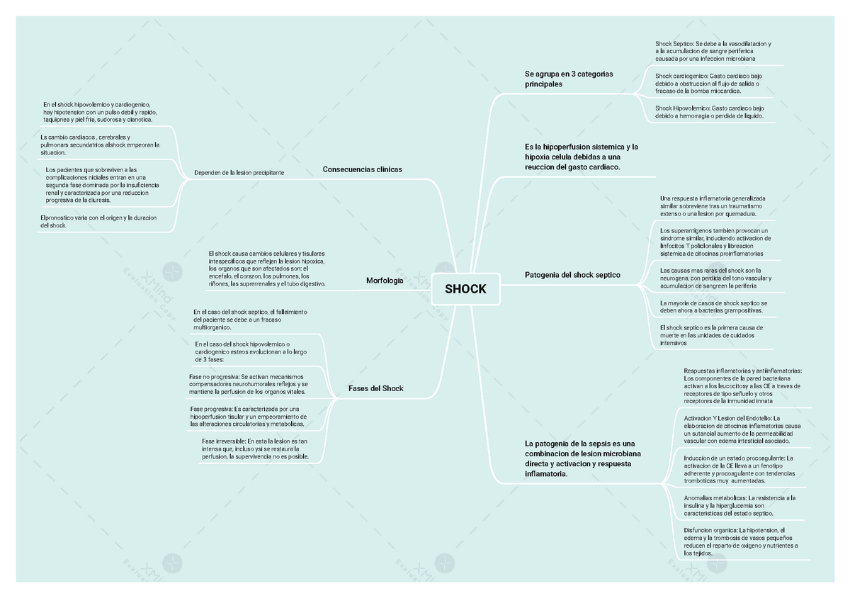 mapa mental del shock indicando sus conceptos definiciones acorde al libro  de - SHOCK Se agrupa en 3 - Studocu