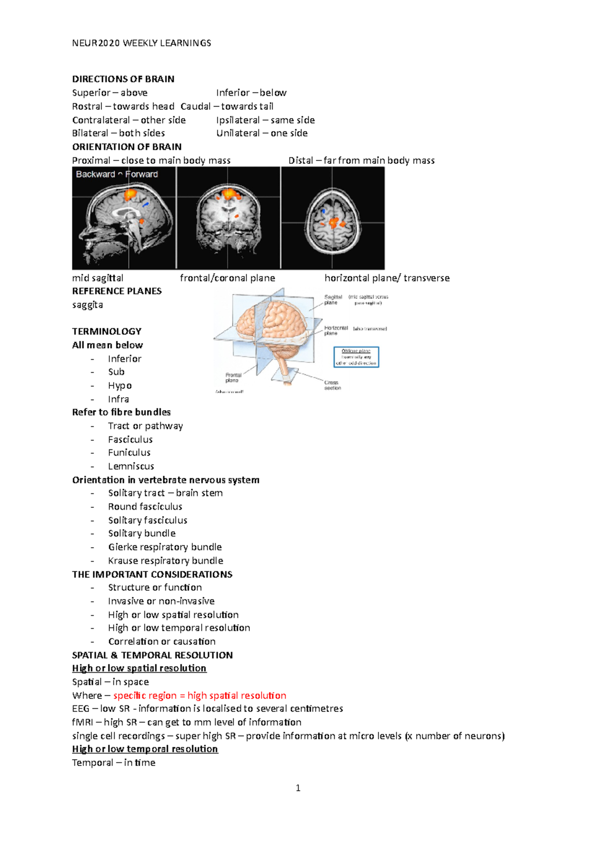 NEUR2020 WEEK Learnings - DIRECTIONS OF BRAIN Superior – above Inferior ...