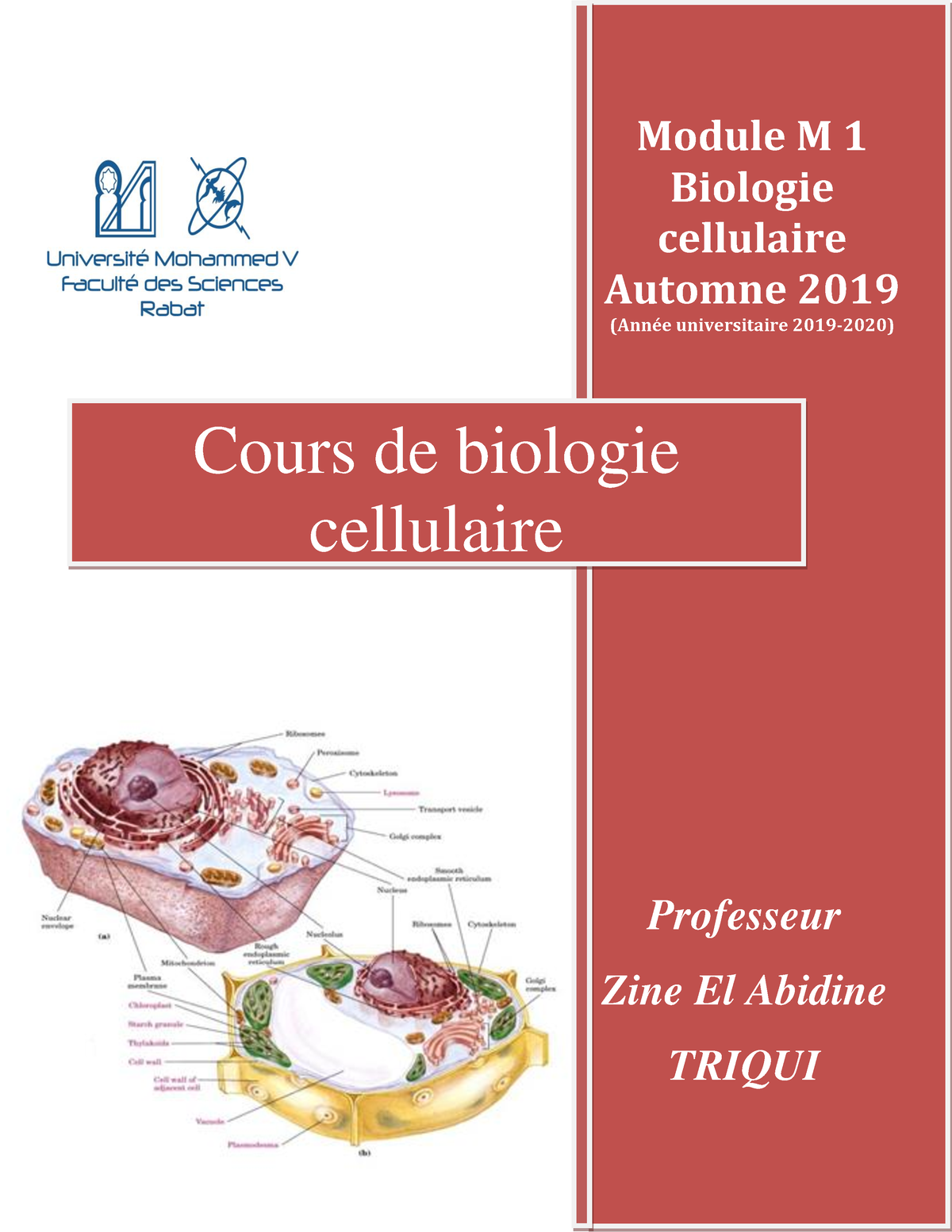 M. Triqui Cours DE Biologie Cellulaire 2019-2020-1-12 - Z Module M 1 ...