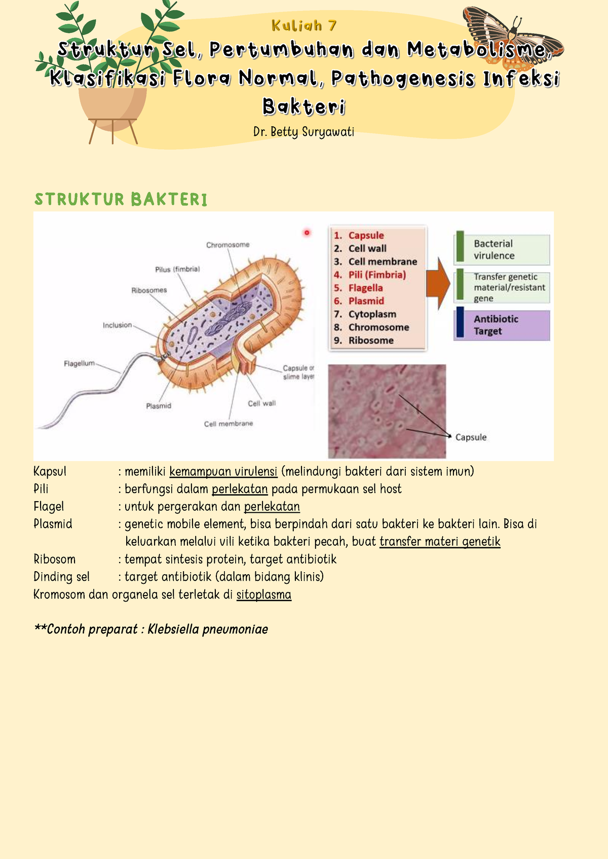 Struktur Sel, Pertumbuhan Dan Metabolisme, Klasifikasi, Flora Normal ...