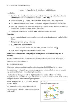 1.1 Cell Structure (Easy) QP - 4 | CELL BIOLOGY | QUESTION PAPER 1 1 ...