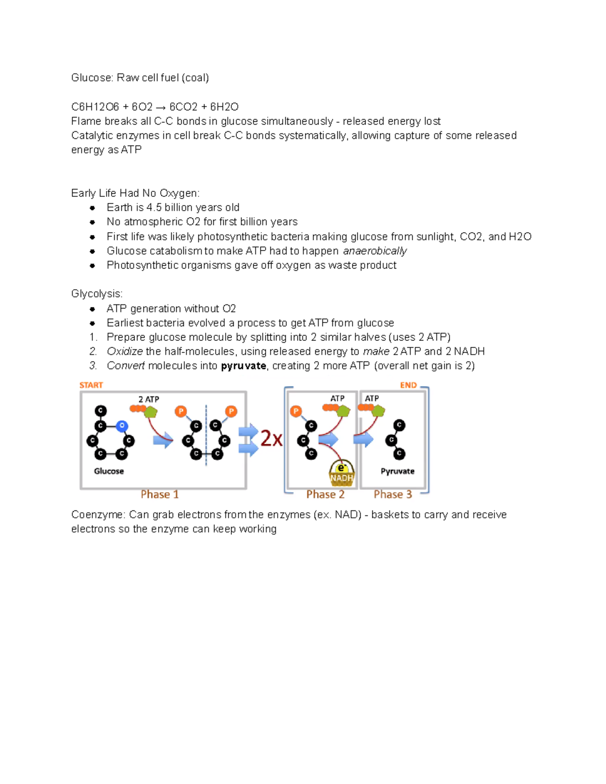 Cellular Respiration - Dr. Shen - Glucose: Raw cell fuel (coal) C6H12O6 ...