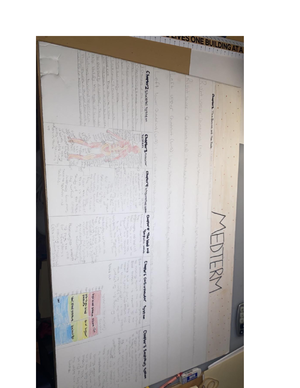 Ls - notes - NS M19 - Studocu