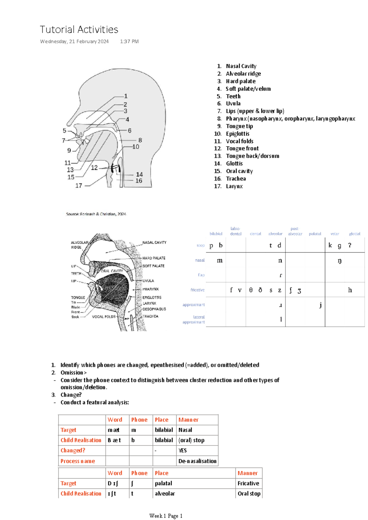 3310 tut notes Nasal Cavity Alveolar ridge Hard palate Soft palate