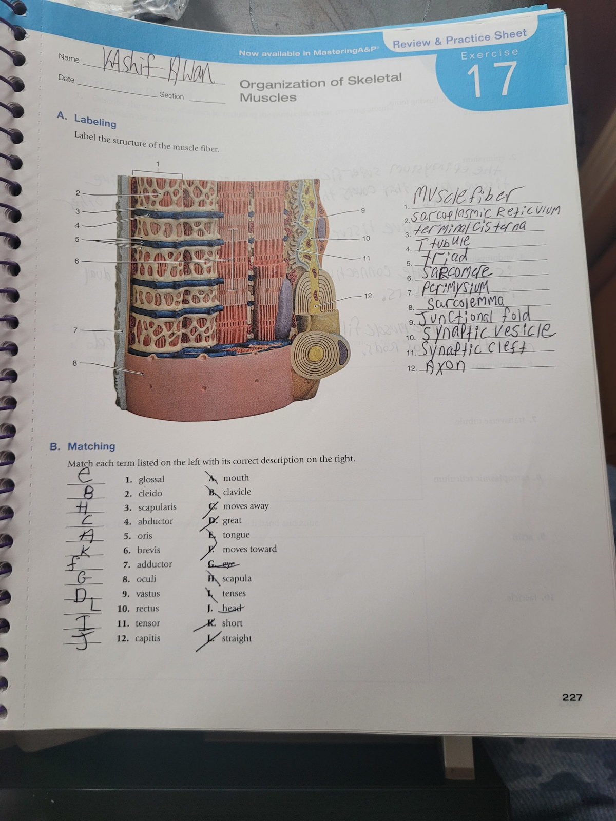 20230313 113423 - this is some more practice material for labeling the ...