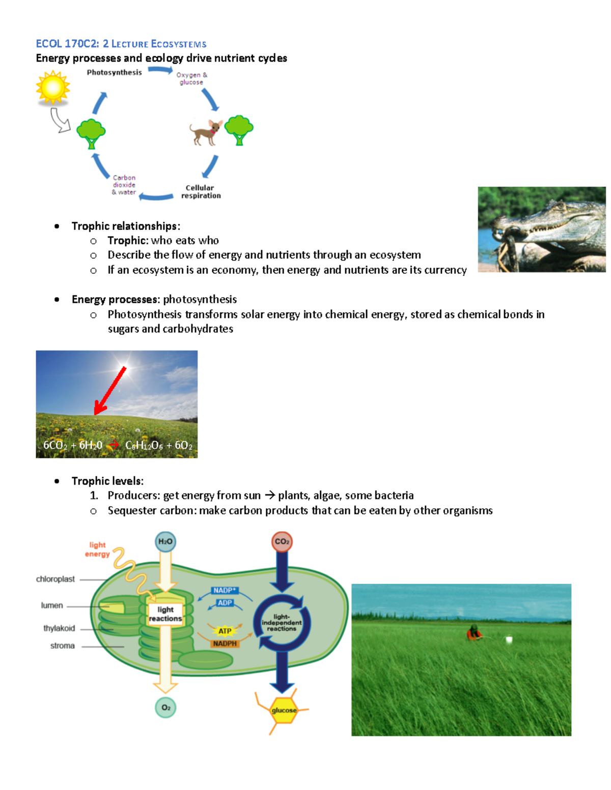 Ecol 170c2 2 Lecture Ecosystems Energy Processes And Ecology Drive