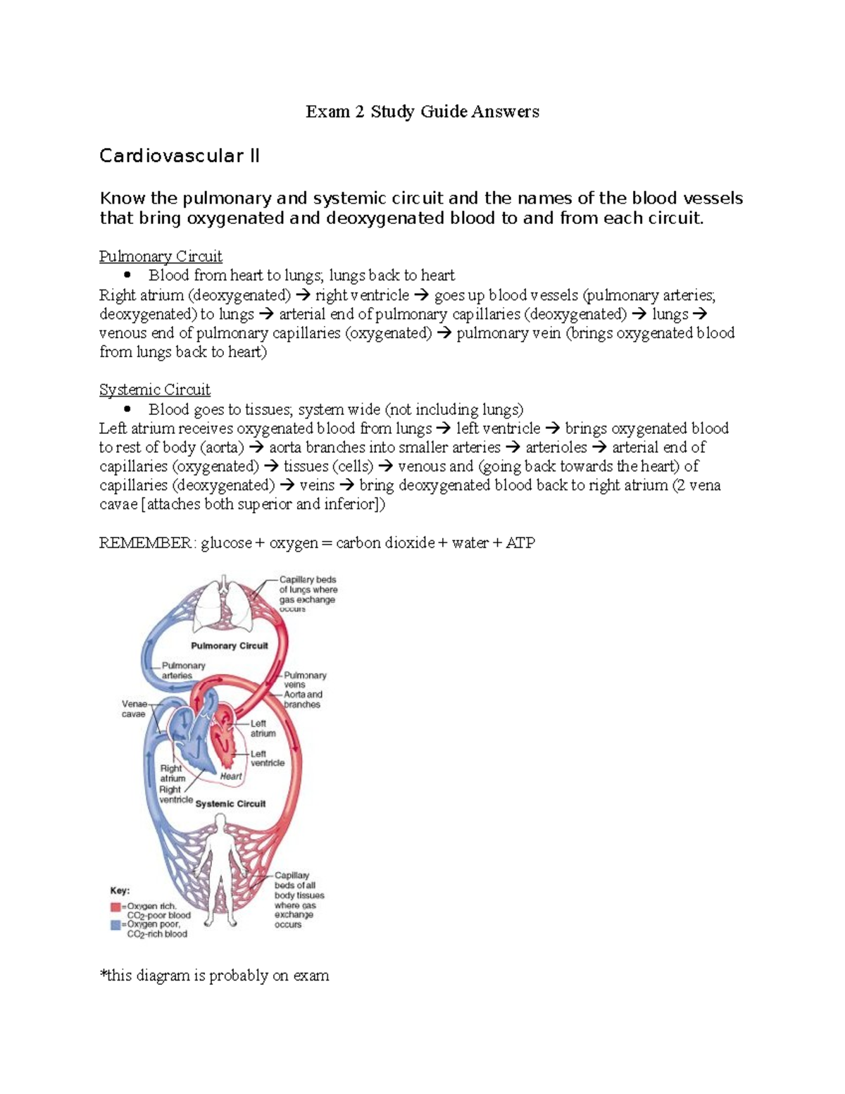 Exam 2 - Study Guide for exam 2 - Exam 2 Study Guide Answers ...