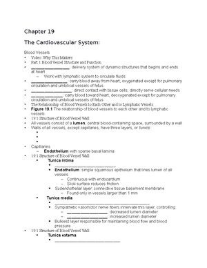Chapter 20 - Anatomy lymphatic system - Chapter 20 The Lymphatic System ...