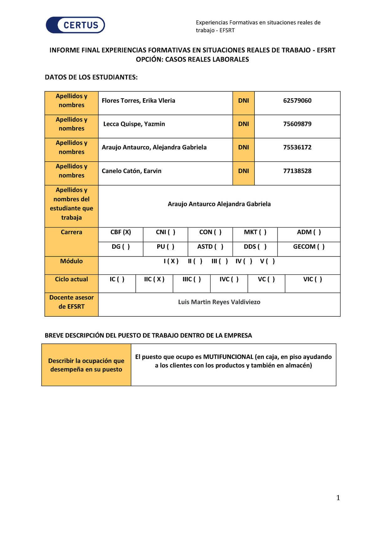 Informe Final Casos Reales Laborales Canelo - Trabajo - EFSRT INFORME ...