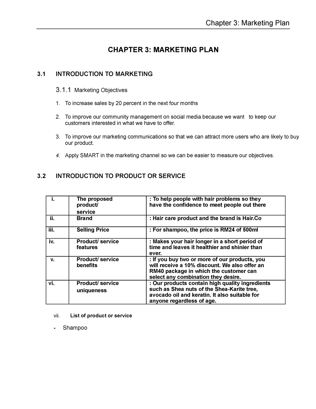 how to make chapter 3 in business plan