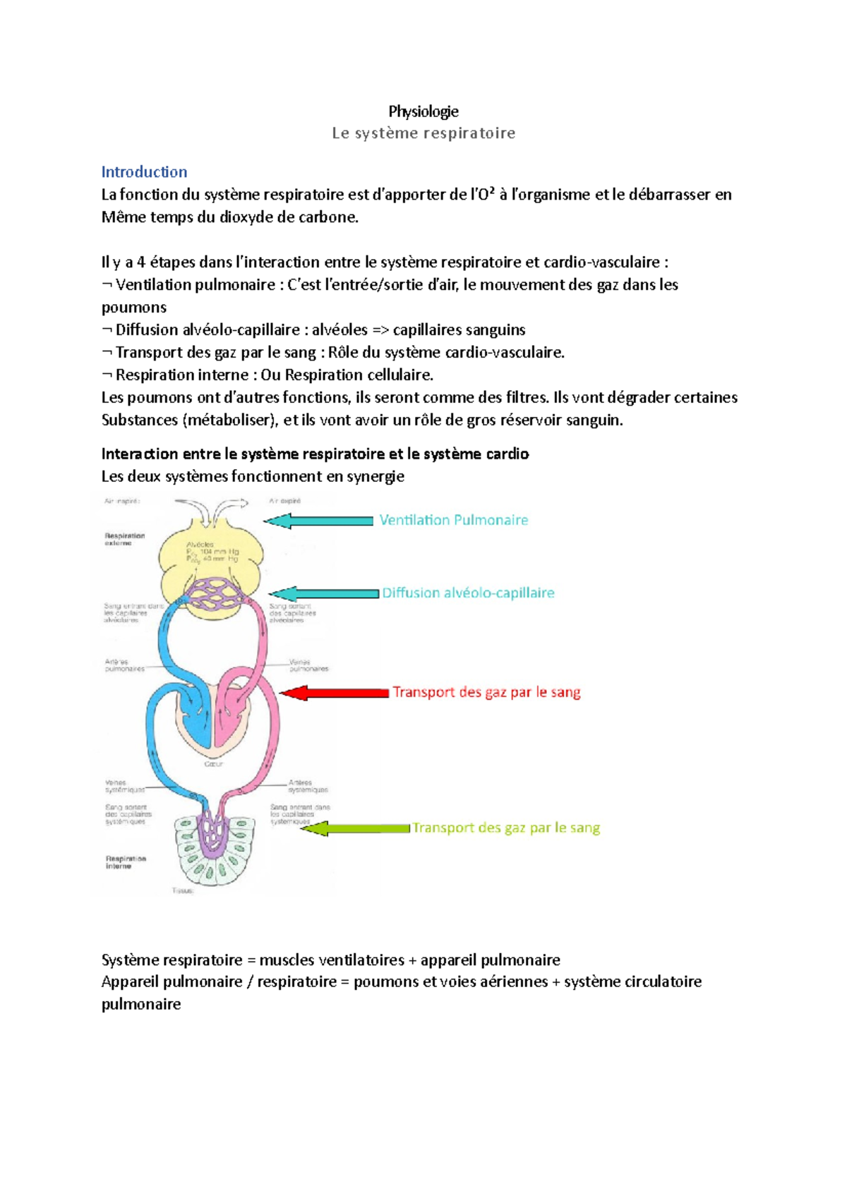 Physiologie Staps Physiologie Le Syst Me Respiratoire Introduction La Fonction Du Syst Me