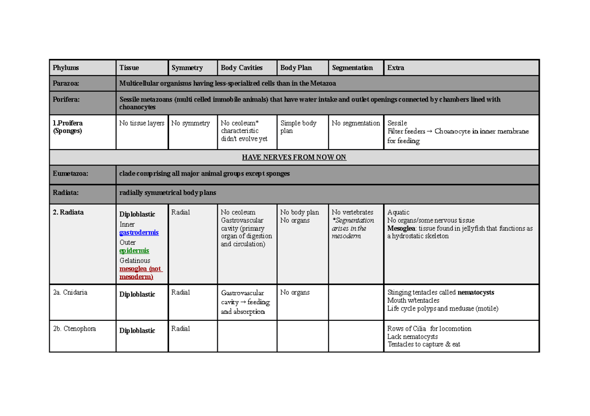 BIOL 1111 - Animals Chart - Phylums Tissue Symmetry Body Cavities Body ...