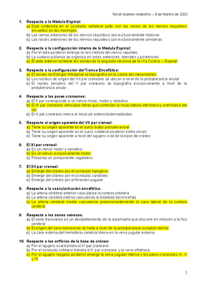 CARA - resumen de cara - 19. CRÁNEO La línea de Poirier separa la ...