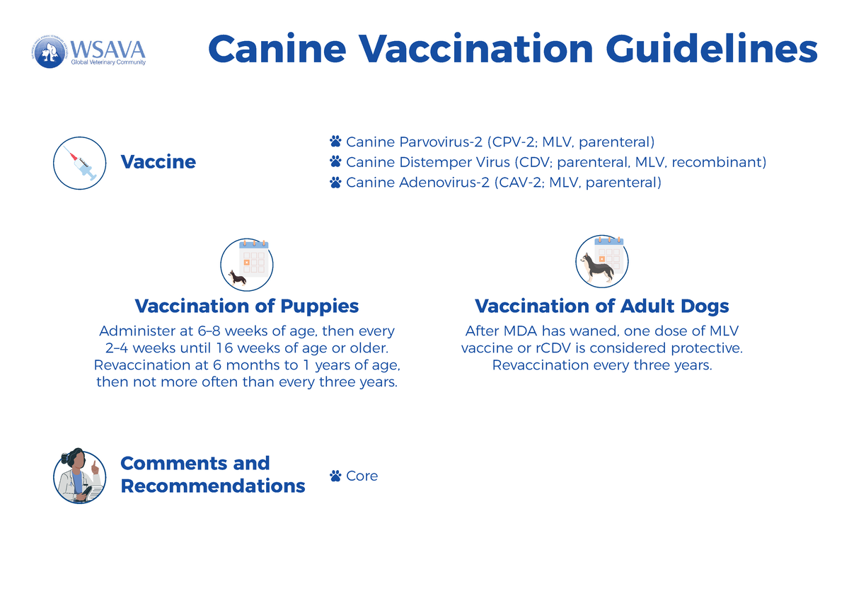 Wsava Canine Vaccination Guidelines Vaccine Comments and