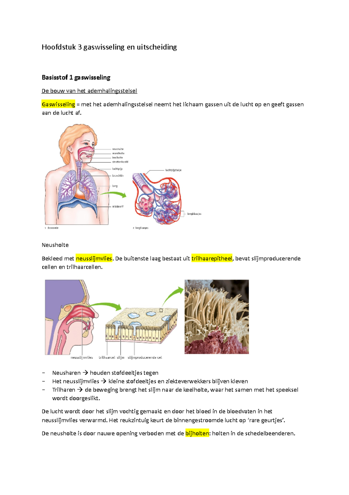 Hoofdstuk 3 Gaswisseling En Uitscheiding Samenvatting - Hoofdstuk 3 ...