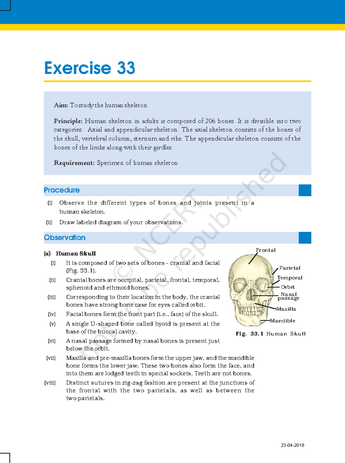 5 6165462911033542536 - Exercise 33 Procedure (i) Observe the different ...