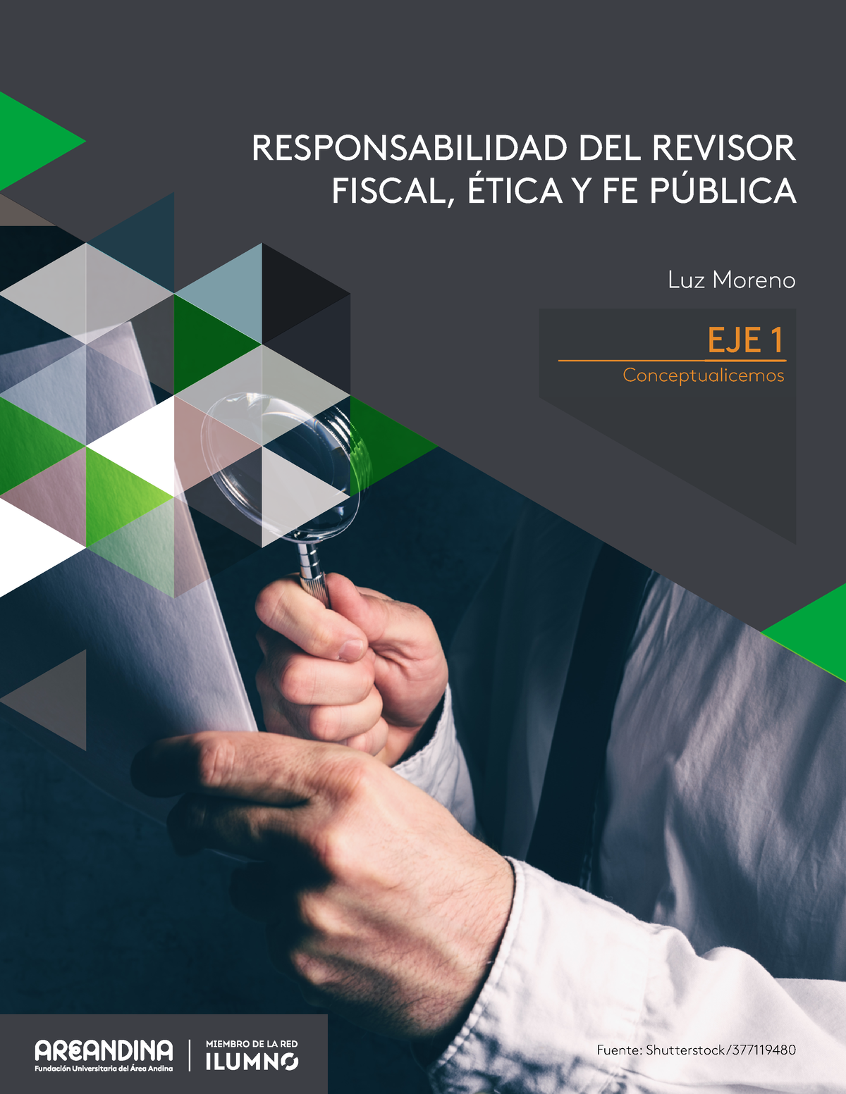 Eje 1 Responsabilidad Del Revisor Fiscal Etica Y Fe Publica Eje 1