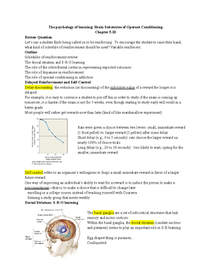 The Neuroscience of Learning and Memory - → Determine area of brain ...