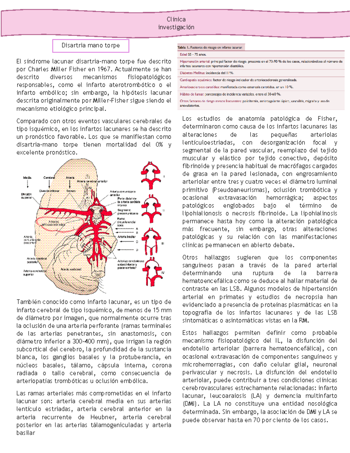 Patologías asociadas a conexiones neuronales - Clínica investigación ...