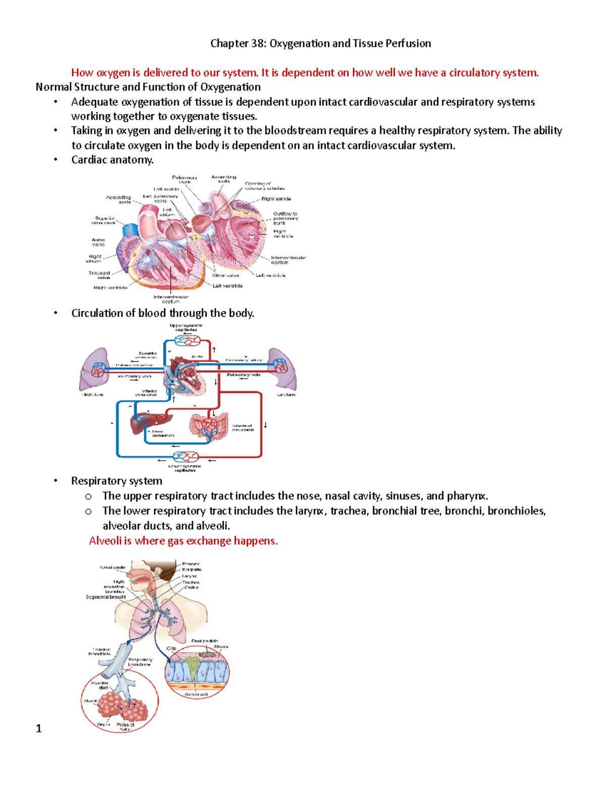 Week 3 - Oxygenation And Tissue Perfussion - Chapter 38: Oxygenation ...