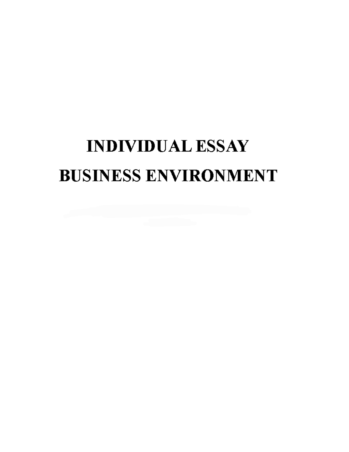 business studies essay business environment