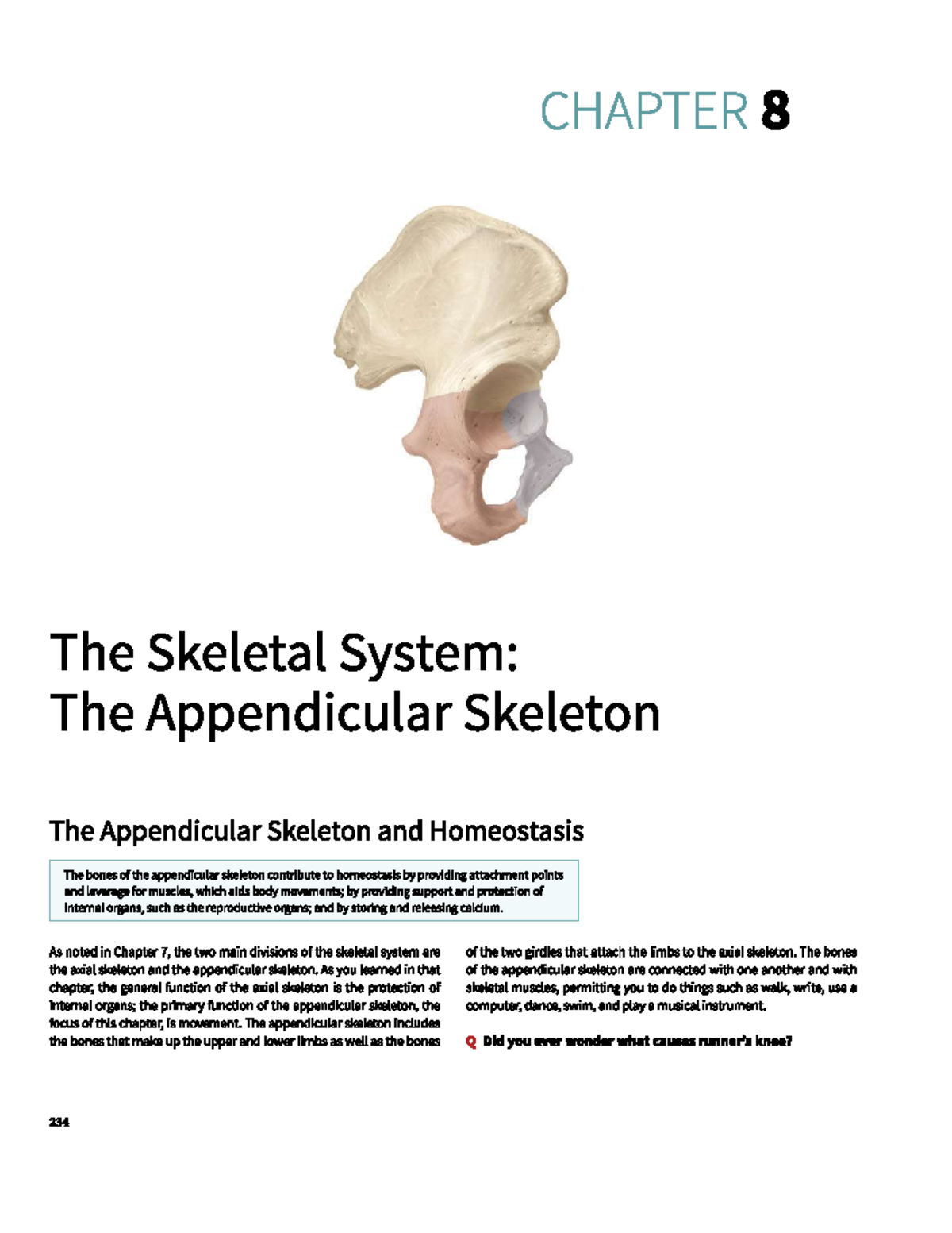 Anatomy visual data 3