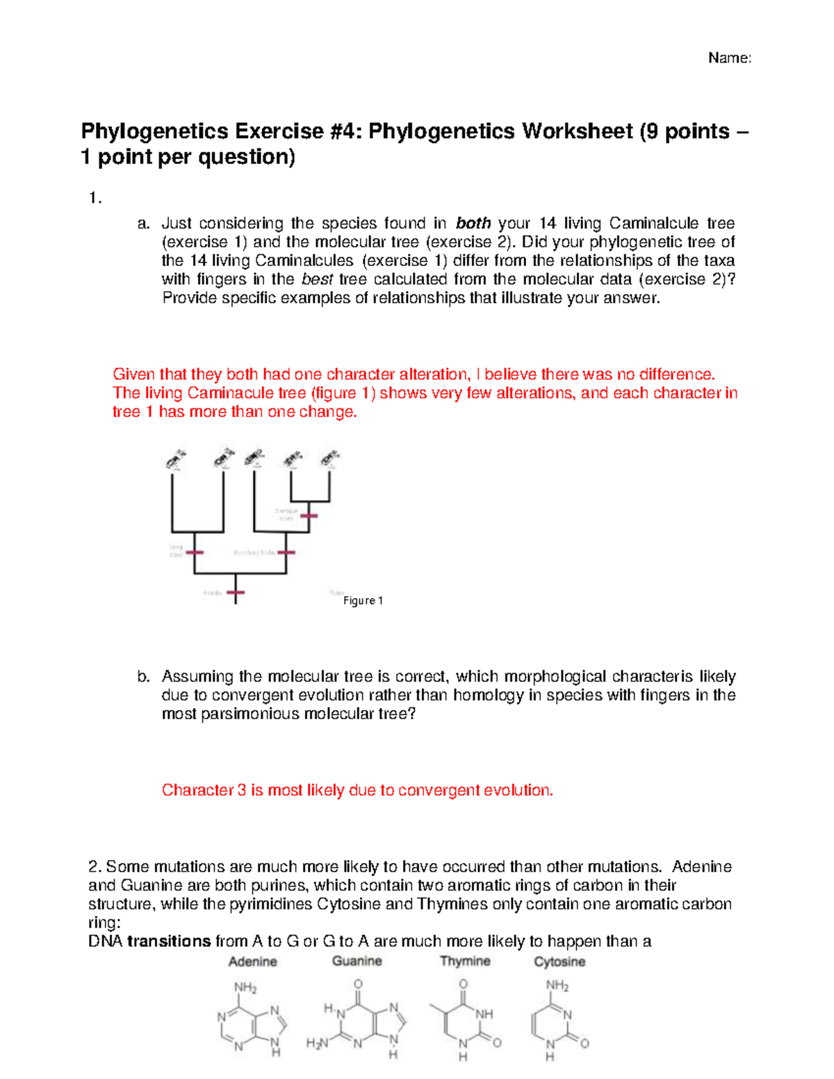 S24 1108L-Phylogenetics Worksheet Lab 4 - Phylogenetics Exercise #4 ...