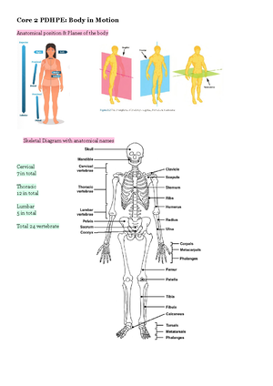 01 Core 2 - Part 1 - The skeletal and muscular systems-part-18 - Th e ...