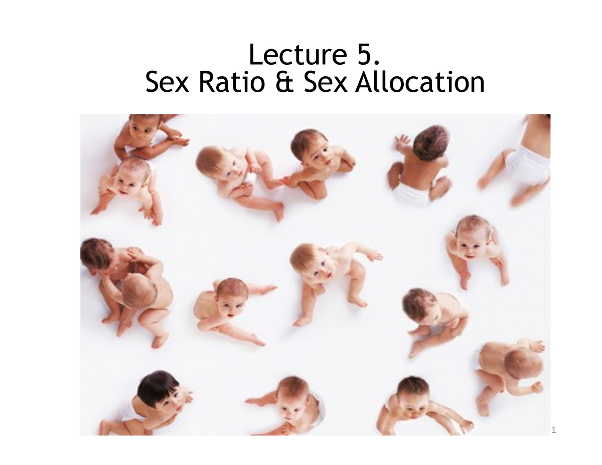 Lecture 5 Sex Allocation 1 Lecture 5 Sex Ratio And Sex Allocation Outline For Sex Allocation 6043