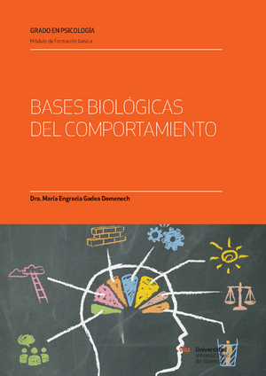 Neuroanatomía Del Lenguaje Y Las Afasias De Bases Biológicas Del ...