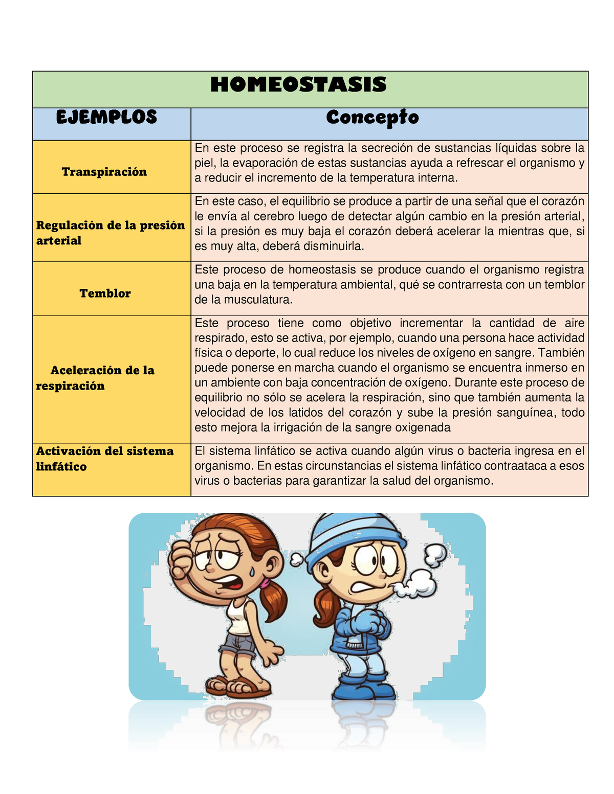 Ejemplos De Homeostasis Homeostasis Ejemplos Concepto Transpiraci N En Este Proceso Se