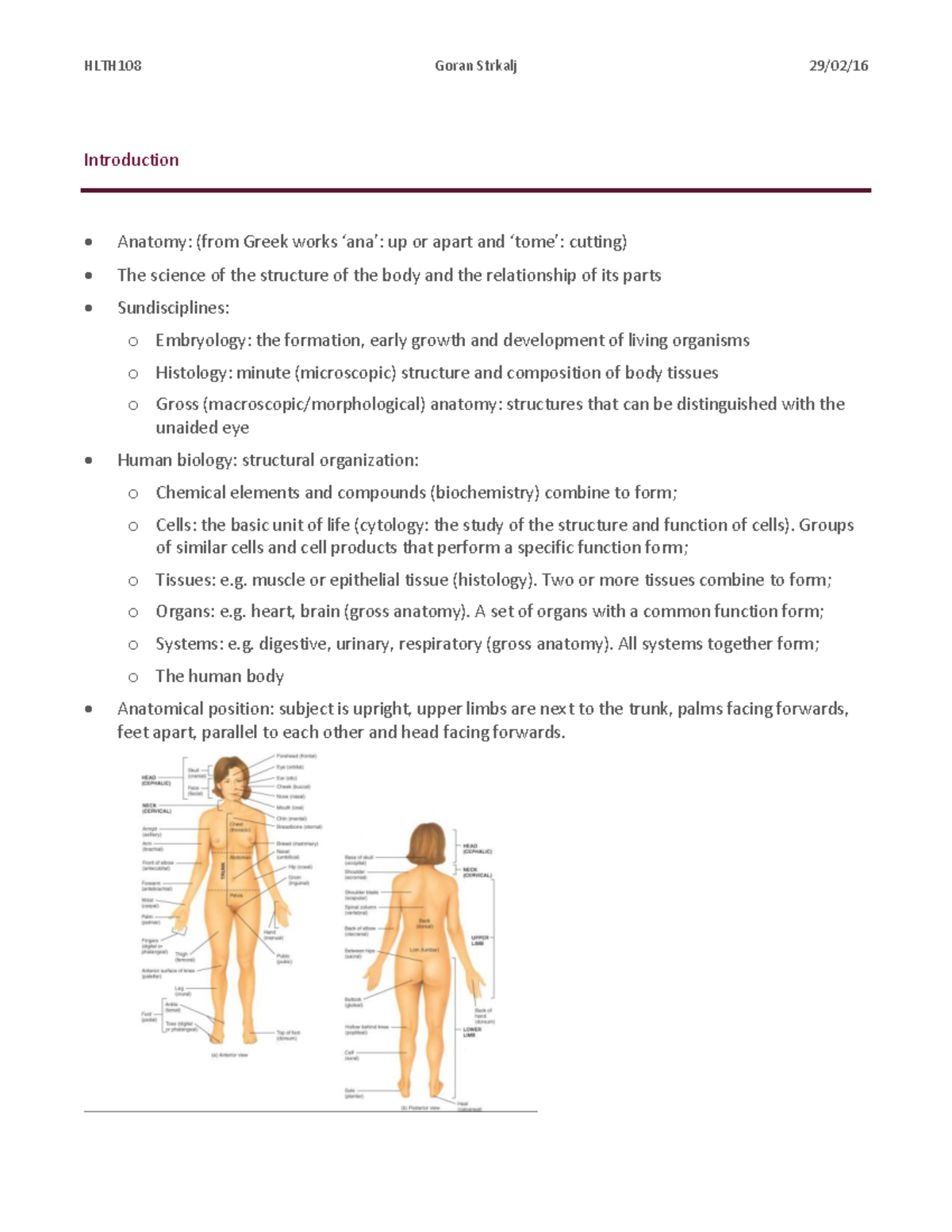 Lecture notes, lectures 1-10 - Introduction, cells, basic tissues and ...