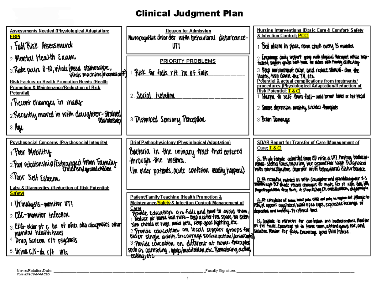 clinical-judgment-plan-clinical-judgment-plan-department-of-nursing