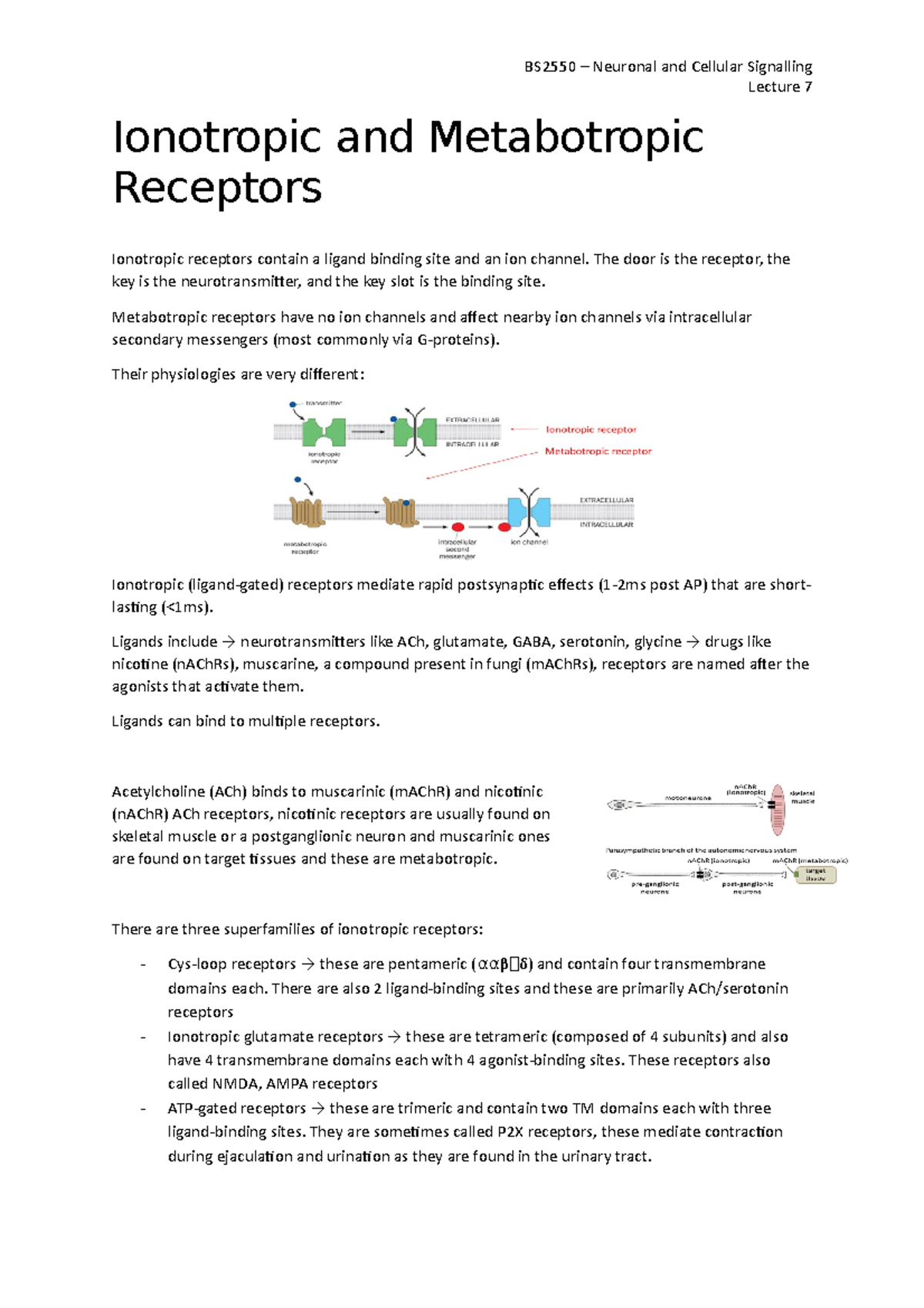 7 - Ionotropic and Metabotropic Receptors - BS2550 – Neuronal and ...